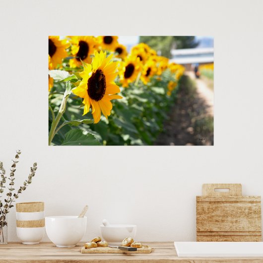 ひまわり車線 ポスター (キッチン)