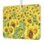 ひまわり車 カーエアーフレッシュナー (左)