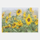 ひまわり野原黄緑美しいフローラ ラッピングペーパーシート (正面)