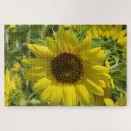 ひまわり金ゴールド ジグソーパズル