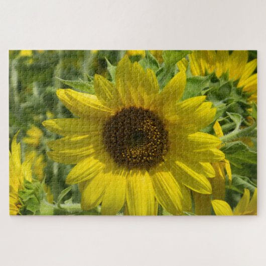 ひまわり金ゴールド ジグソーパズル (横)