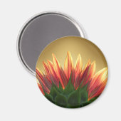 ひまわり金ゴールド～マグネット マグネット (正面/裏面)