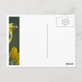 ひまわり金魚 ポストカード (裏面)