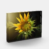 ひまわり開花フル開花 フォトブロック (左)