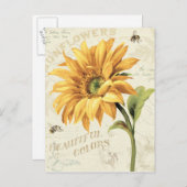 ひまわり開花 ポストカード (正面/裏面)