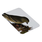 ひまわり食べのマグネット マグネット (右側)