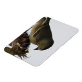 ひまわり食べのマグネット マグネット (左側)