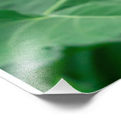 ひまわり黄色のオレンジ色のマクロのクローズアップ背景 フォトプリント (角)