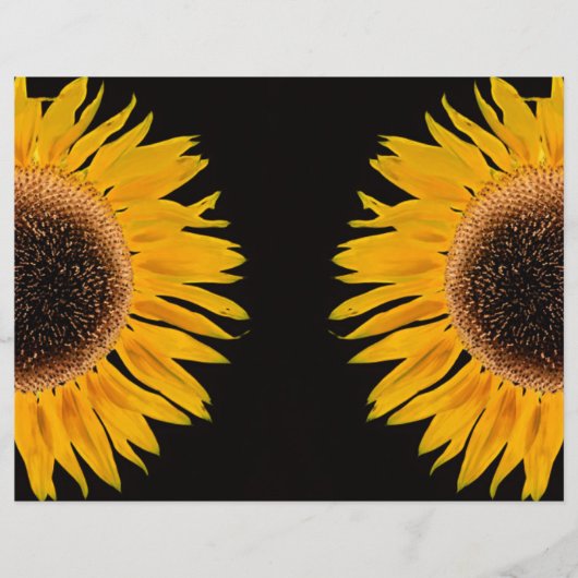 ひまわり黄色の対称黒い背景 (正面)