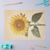 ひまわり黄色の水彩背景の切り離し 薄葉紙 (クラフト)