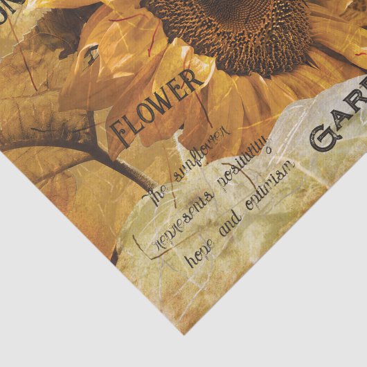 ひまわり黄色の美しい国エフエマラのスクリプト 薄葉紙 (詳細)