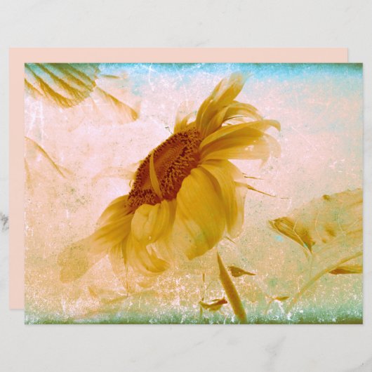 ひまわり黄色セピアヴィンテージアンティークテクスチャ (正面/裏面)