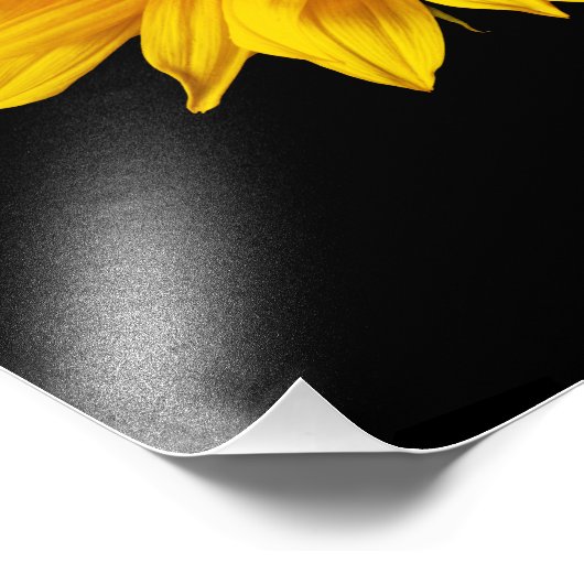 ひまわり黄色on黒 – カスタマイズおひまわり フォトプリント (角)