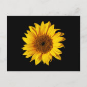 ひまわり黄色on黒 – カスタマイズおひまわり ポストカード (正面)