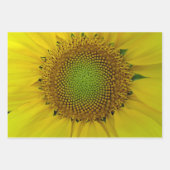 ひまわり黄金比 ラッピングペーパーシート (正面)