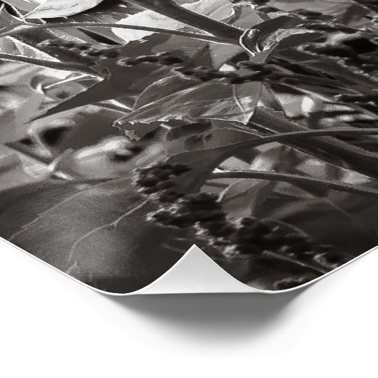 ひまわり黒白ファインアート撮影 ポスター (コーナー)