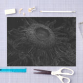 ひまわり黒白フローラ 薄葉紙 (クラフト)