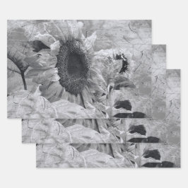 ひまわり黒白ヴィンテージ国フローラ ラッピングペーパーシート