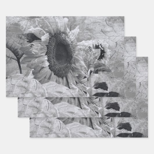 ひまわり黒白ヴィンテージ国フローラ ラッピングペーパーシート (セット)
