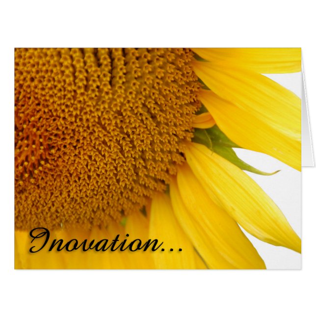 ひまわり (正面横)