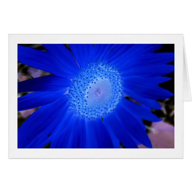 ひまわり (正面横)