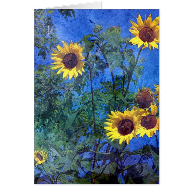 ひまわり (正面)