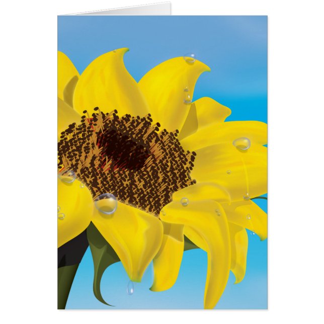 ひまわり (正面)