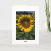 ひまわり09 カード (裏面)