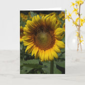ひまわり09 カード (黄色い花)