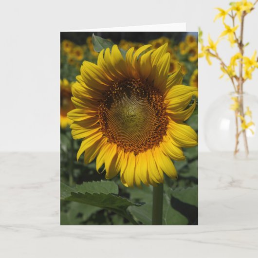 ひまわり09 カード (黄色い花)