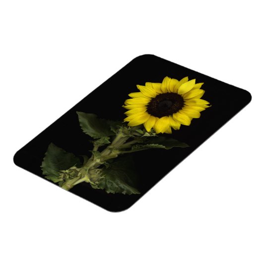 ひまわり11 マグネット (左側)