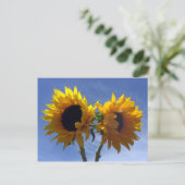ひまわり2枚はがき ポストカード (スタンド正面)
