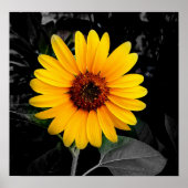 ひまわり2 ポスター (正面)