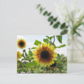 ひまわり2 ポストカード (スタンド正面)