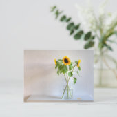 ひまわり3つ ポストカード (スタンド正面)