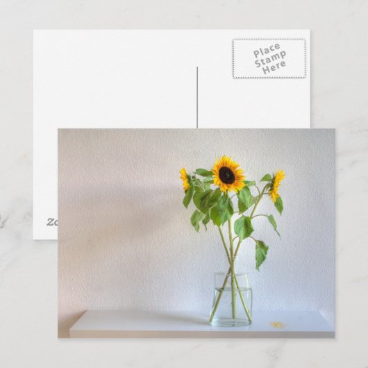 ひまわり3つ ポストカード (正面/裏面)