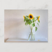 ひまわり3つ ポストカード (正面)
