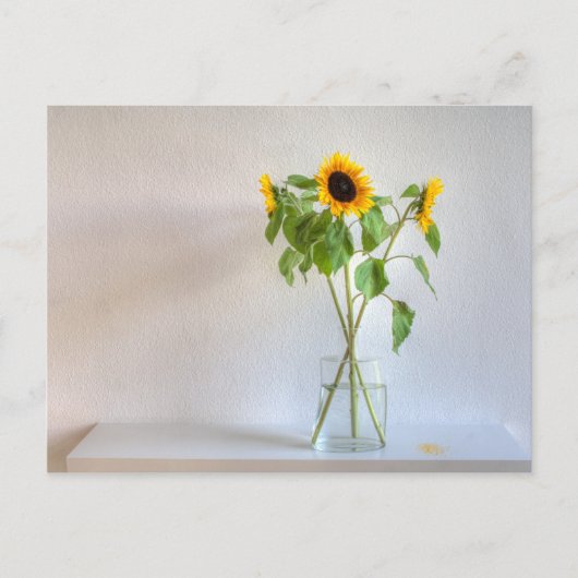 ひまわり3つ ポストカード (正面)