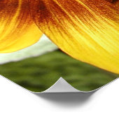 ひまわり3 ポスター (角)