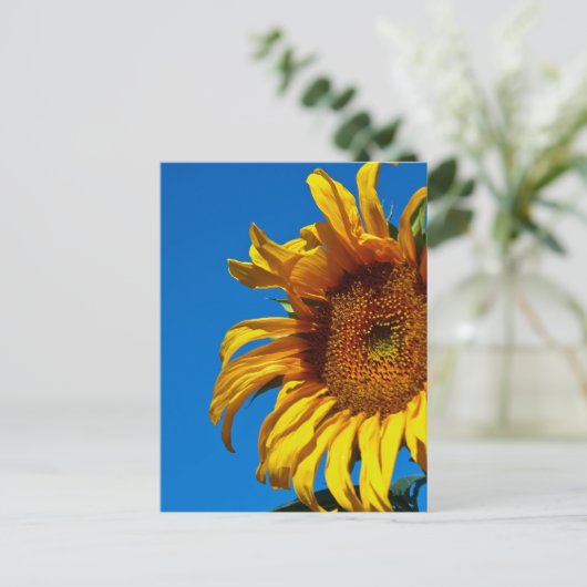 ひまわり – はがき (スタンド正面)