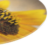 ひまわり カッティングボード (角)