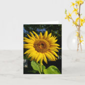 ひまわり カード (黄色い花)