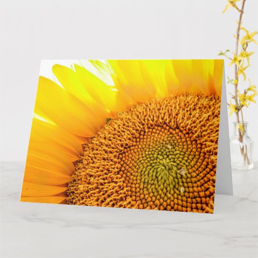 ひまわり カード (黄色い花)