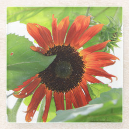 ひまわり ガラスコースター