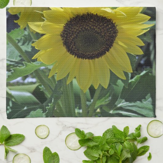 ひまわり キッチンタオル (折り畳み)