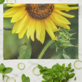 ひまわり キッチンタオル (折り畳み)