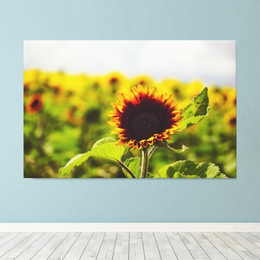 ひまわり キャンバスプリント (インサイチュ (ウッドフロア))
