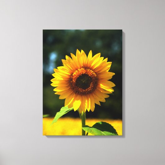 ひまわり キャンバスプリント (正面)