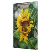 ひまわり クリップボード (左)