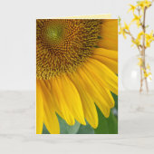 「ひまわり」グリーティングカード カード (黄色い花)